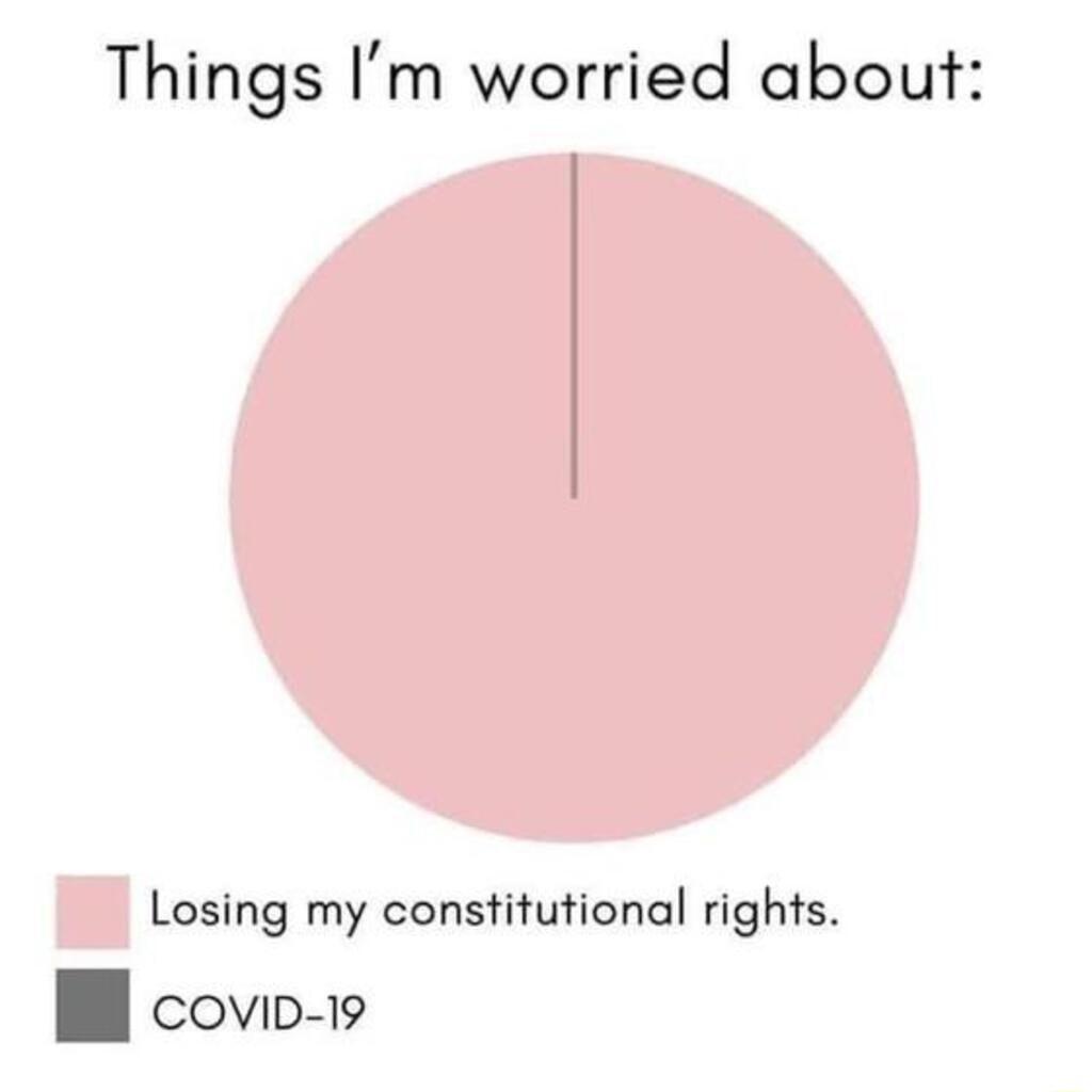 Things Im worried about Losing my constitutional rights B covip iw