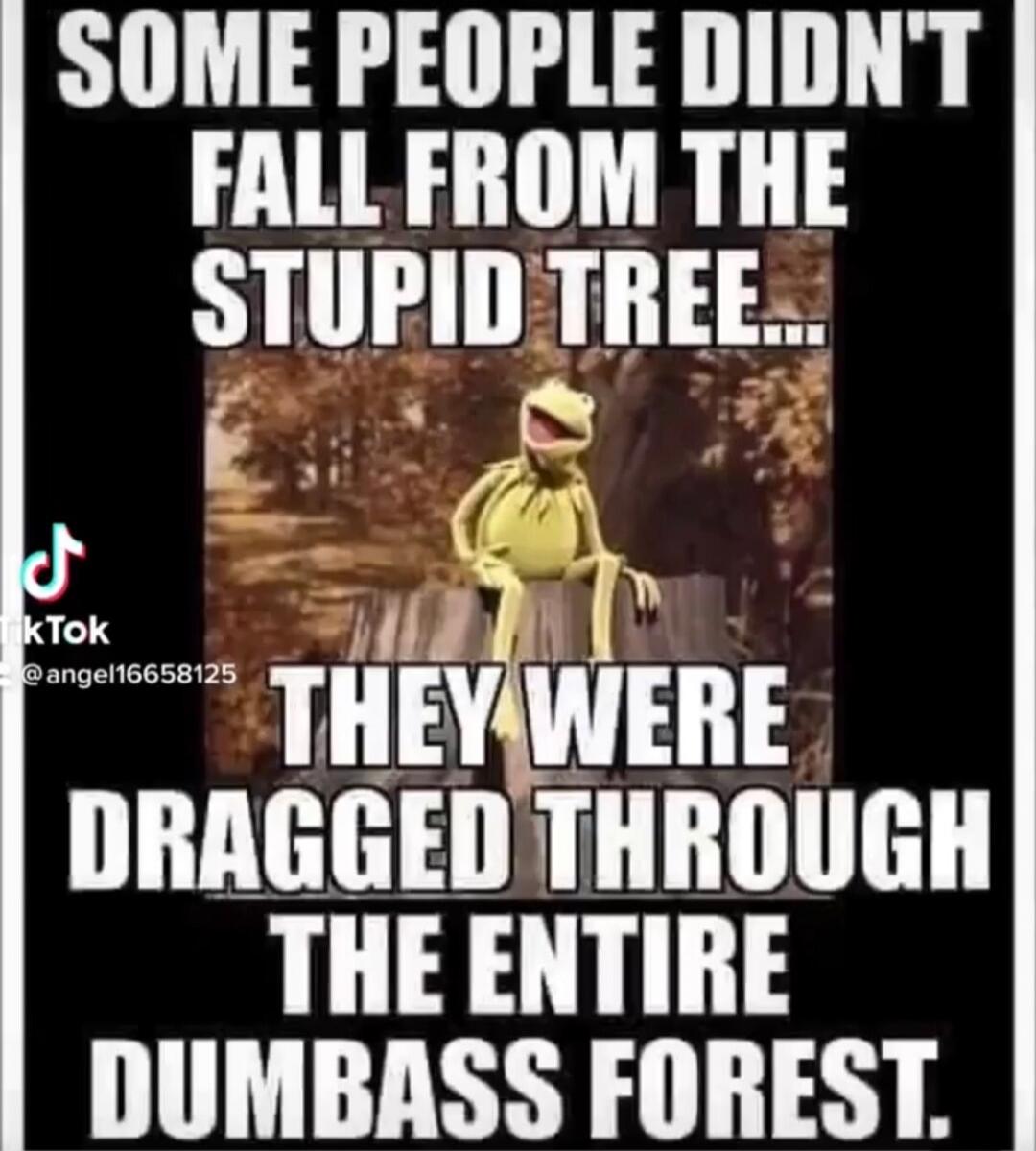 SOME PEOPLE DIDN'T FALL FROM THE STUPID TREE... THEY WERE DRAGGED THROUGH THE ENTIRE DUMBASS FOREST.