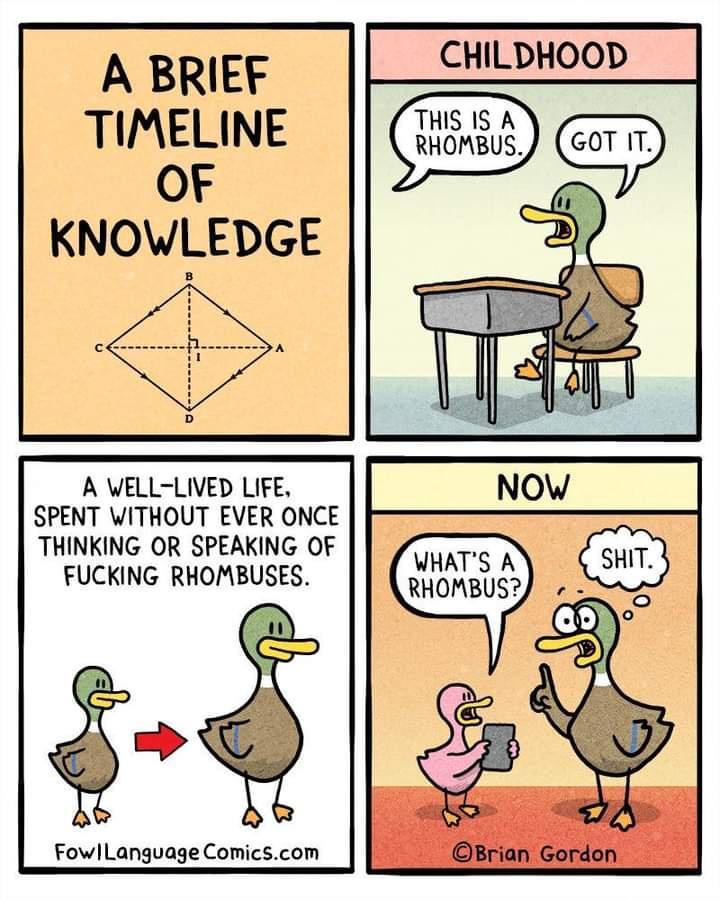 A BRIEF CHILDHOOD TIMELINE OF A WELL LIVED LIFE SPENT WITHOUT EVER ONCE THINKING OR SPEAKING OF FUCKING RHOMBUSES s FowlLanguage Comicscom