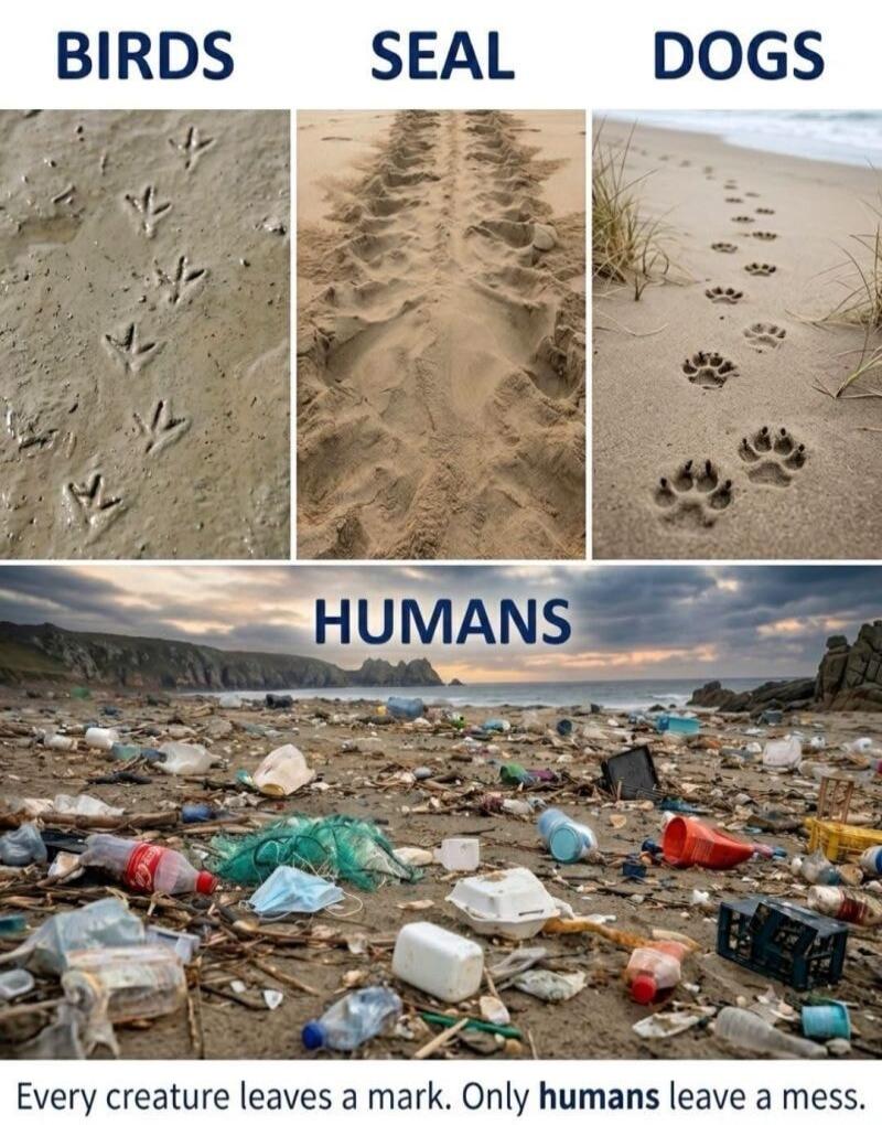 BIRDS SEAL DOGS HUMANS Every creature leaves a mark. Only humans leave a mess.