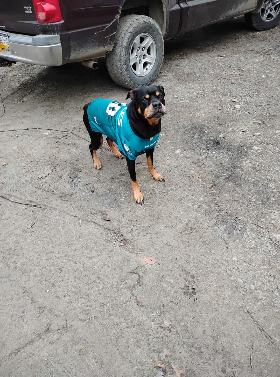 V8 ES PHILADELPHIA NY PIS