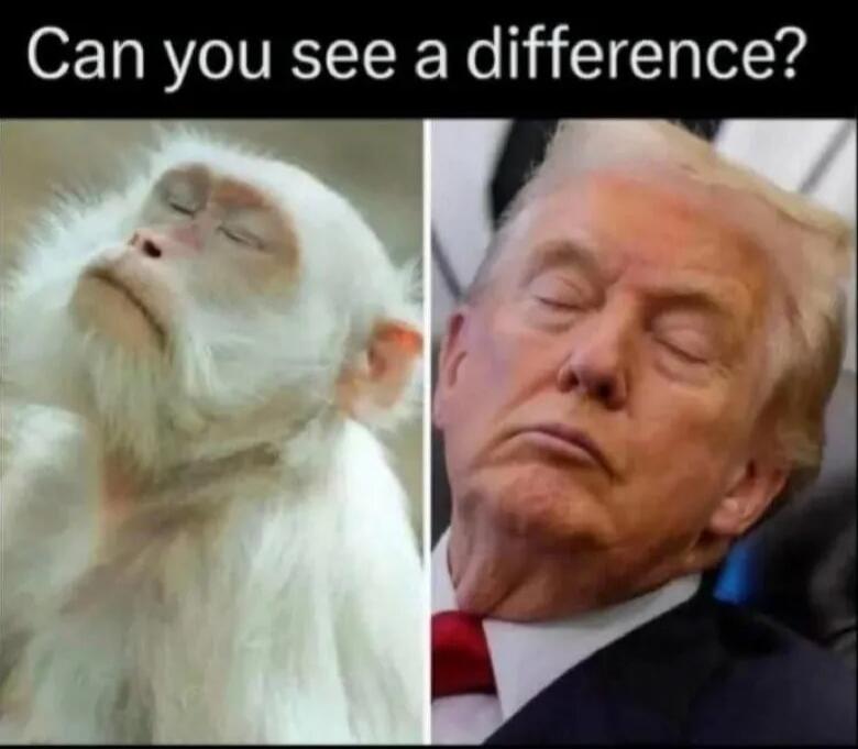 Can you see a difference?