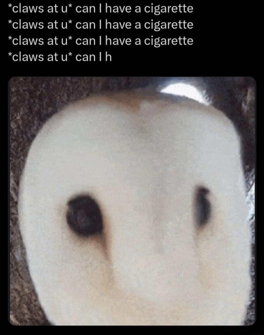 claws at u can have a cigarette claws at u can have a cigarette claws at u can have a cigarette claws atucanlh