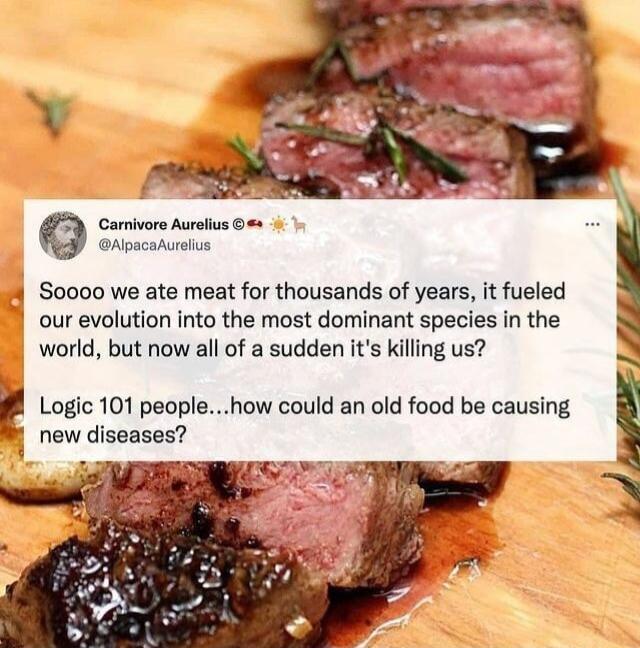 Carnivore Aurelius ApscaAureius 4 Soooo we ate meat for thousands of years it fueled our evolution into the most dominant species in the world but now all of a sudden its killing us Logic 101 peoplehow could an old food be causing new diseases