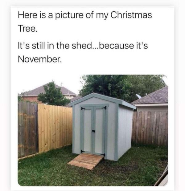 Here is a picture of my Christmas Tree Its still in the shedbecause its November