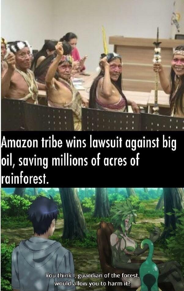 Amazon tribe wins lawsuit against big oil, saving millions of acres of rainforest.
You think I, guardian of the forest, would allow you to harm it?