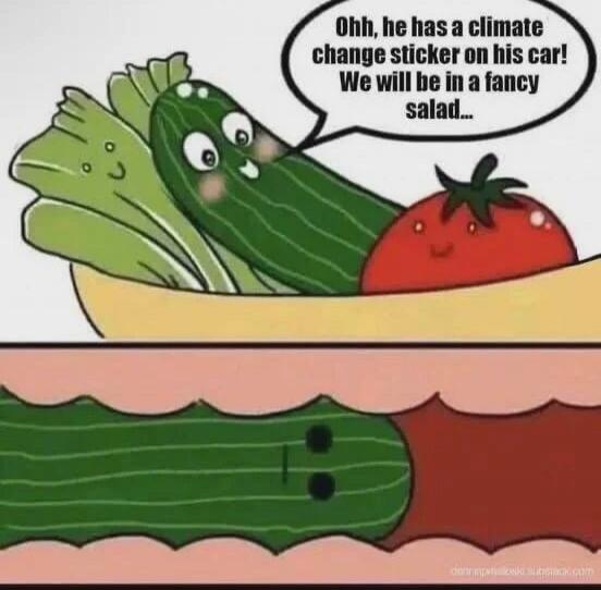 Ohh, he has a climate change sticker on his car! We will be in a fancy salad...