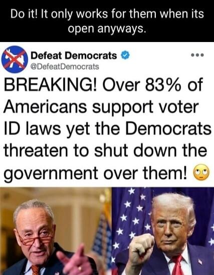 BREAKING! Over 83% of Americans support voter ID laws yet the Democrats threaten to shut down the government over them! 🙄