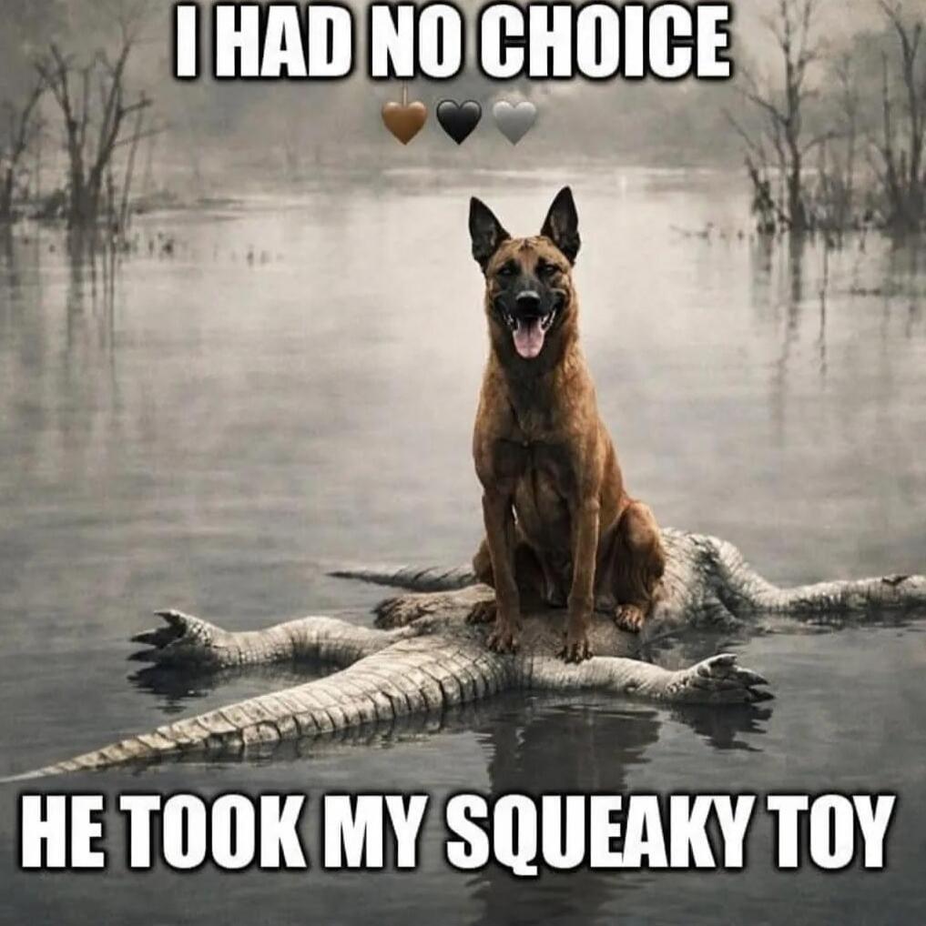 I HAD NO CHOICE 🟤🖤🤍 HE TOOK MY SQUEAKY TOY