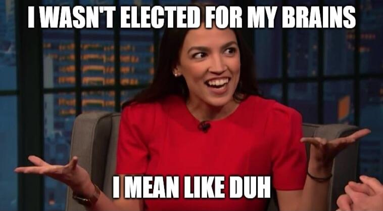 I WASN'T ELECTED FOR MY BRAINS I MEAN LIKE DUH