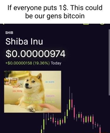If everyone puts 1 This could be our gens bitcoin SHIB Shiba Inu 000000974 000000158 1936 Today