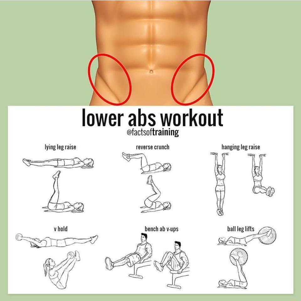 lower abs workout factsoftraining lying leg raise reverse crunch hnmnglegnlse TI L g W o vhold hanch ab v ups ball Iegl