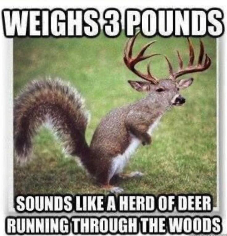 WEIGHS 3 POUNDS SOUNDS LIKE A HERD OF DEER RUNNING THROUGH THE WOODS