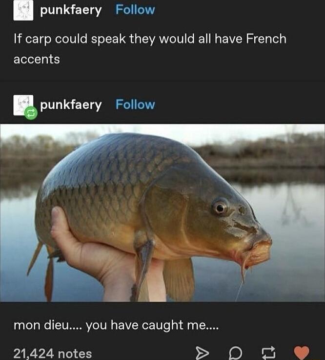 punkfaery Follow If carp could speak they would all have French accents punkfaery mon dieu you have caught me 21424 notes S 0