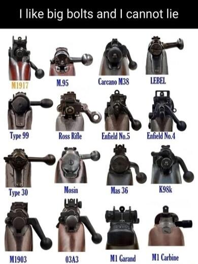 I like big bolts and I cannot lie
M1917  M.95  Carcano M38  LEBEL
Type 99  Ross Rifle  Enfield No.5  Enfield No.4
Type 30  Mosin  Mas 36  K98k
M1903  03A3  M1 Garand  M1 Carbine