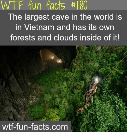 The largest cave in the world is in Vietnam and has its own RIS Tale el oT0Te SR Yo Wel wtf fun factscom