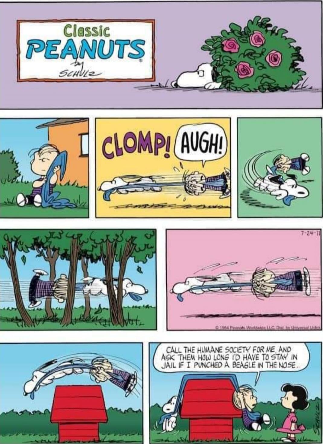 Classic PEANUTS Schulz
Call the humane society for me and ask them how long I have to stay in jail if I punched a beagle in the nose.