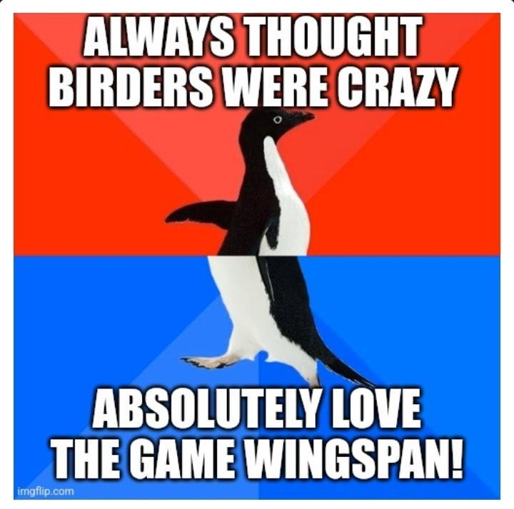 ALWAYS THOUGHT BIRDERS WERE CRAZY ABSOLUTELY LOVE THE GAME WINGSPAN
