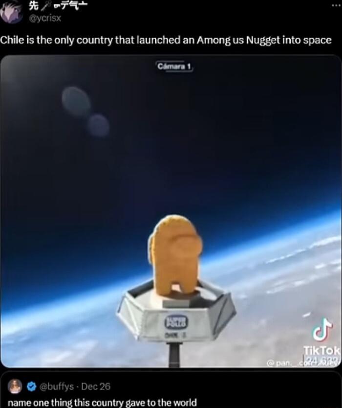 K TR Chile is the only country that launched an Among us Nugget into space Clmars name one thing this country gave to the world