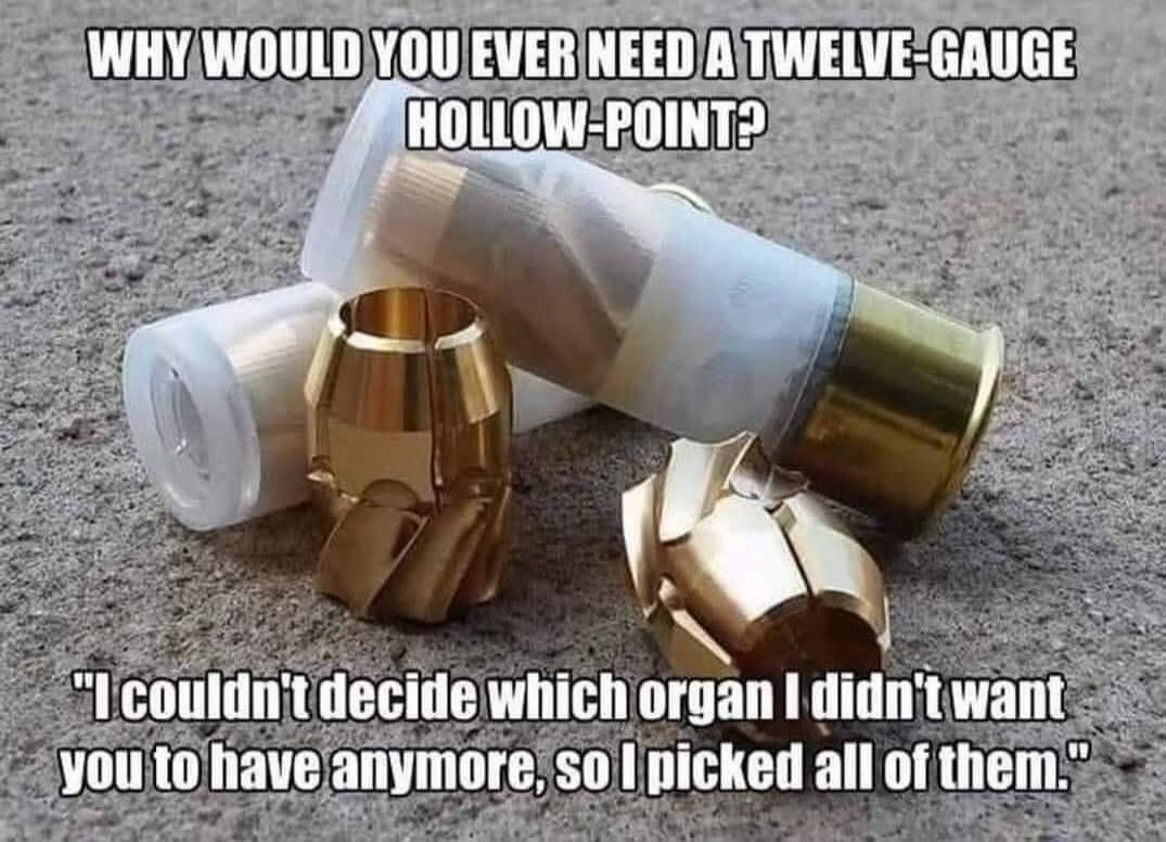 WHY WOULD YOU EVER NEED A TWELVE-GAUGE HOLLOW-POINT? I couldn't decide which organ I didn't want you to have anymore, so I picked all of them.