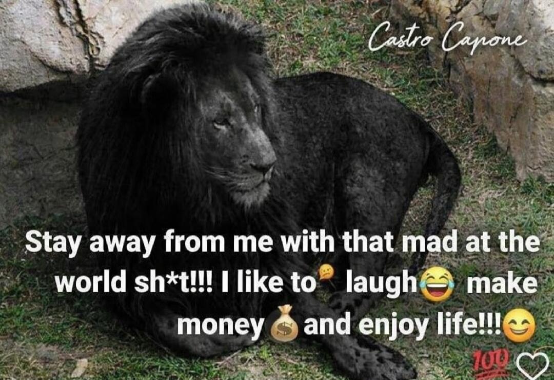 Castro Capone Stay away from me with that mad at the world sh*t!!! I like to 🥴 laugh 😂 make money 💰 and enjoy life!!! 😊 💯❤️