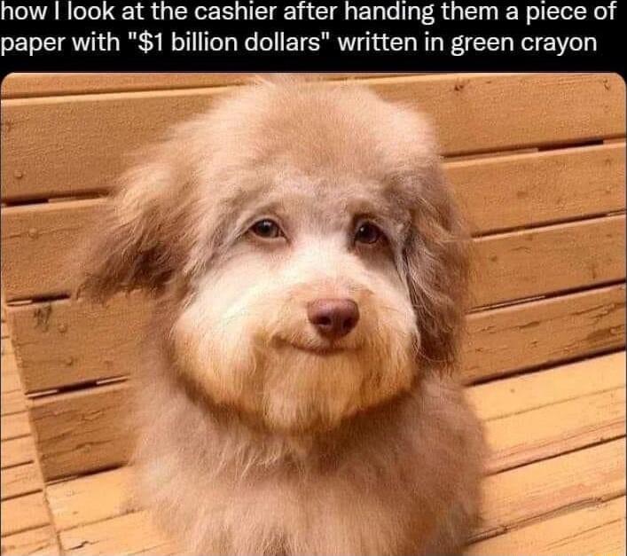 how look at the cashier after handing them a piece of paper with 1 billion dollars written in green crayon