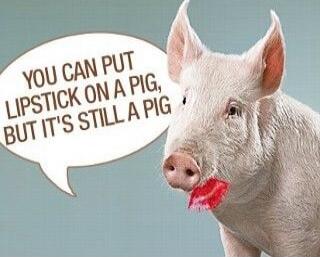 YOU CAN PUT LIPSTICK ON A PIG, BUT IT'S STILL A PIG