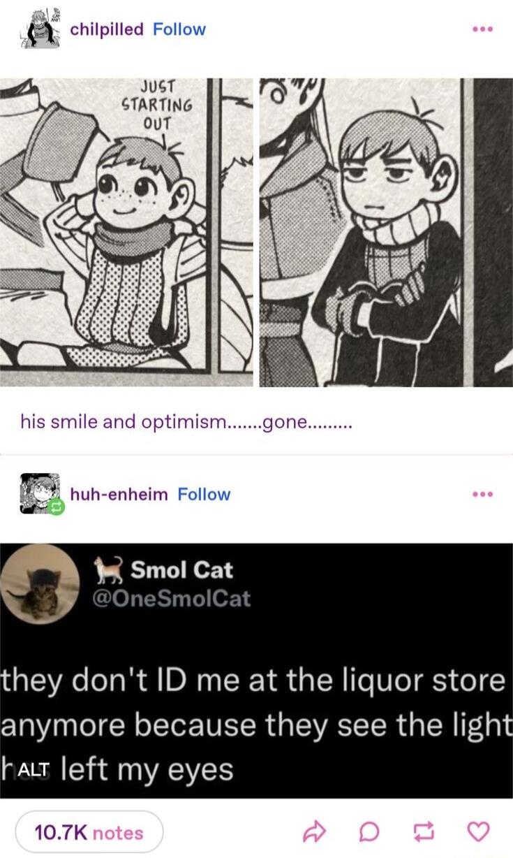 chilpilled Follow JusT GTARTING his smile and optimismgone T hun enheim Foliow b r Smol Cat hey dont ID me at the liquor store anymore because they see the light Fawr left my eyes 107K