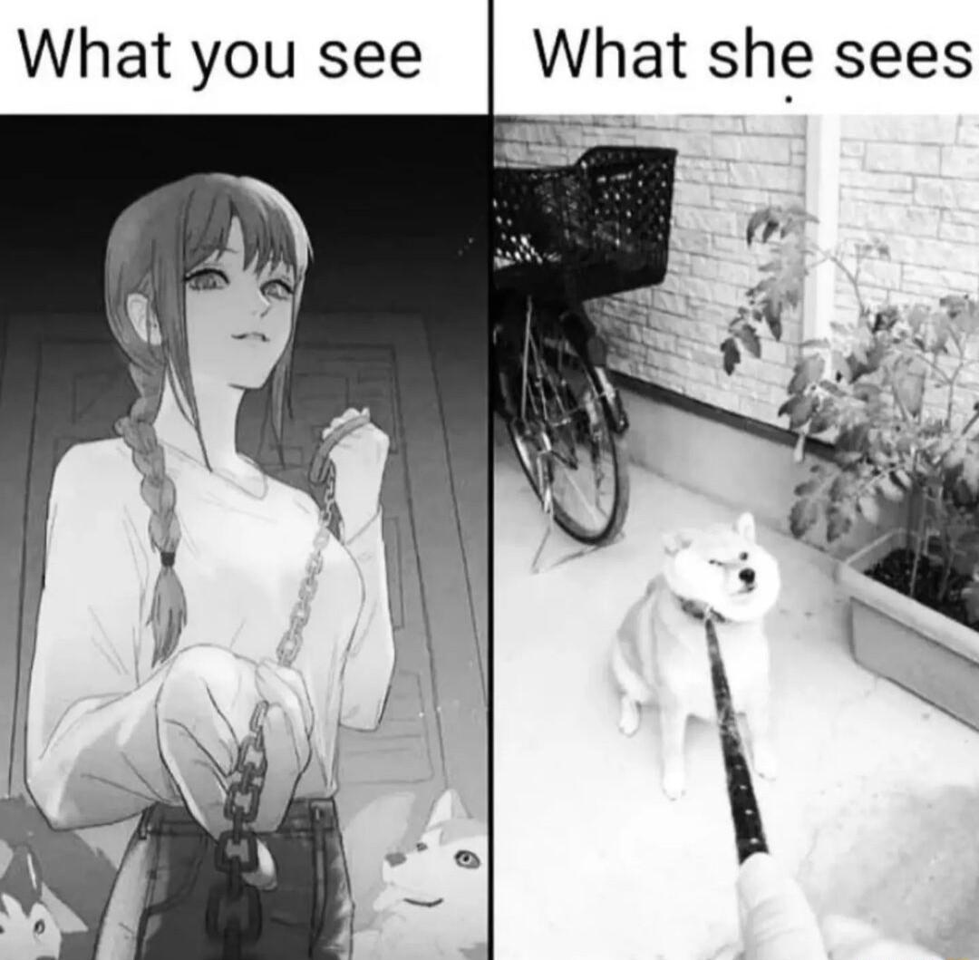 What you see What she sees