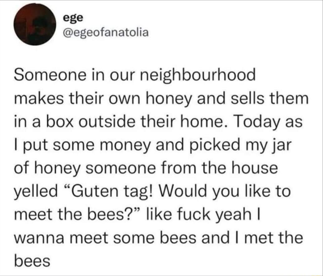 ege egeofanatolia Someone in our neighbourhood makes their own honey and sells them in a box outside their home Today as put some money and picked my jar of honey someone from the house yelled Guten tag Would you like to meet the bees like fuck yeah wanna meet some bees and met the bees