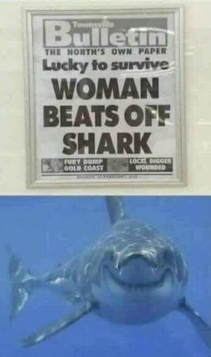 Townsville Bulletin
THE NORTH'S OWN PAPER
Lucky to survive
WOMAN BEATS OFF SHARK
FURY PUMP GOLD COAST
LOCAL DIGGER WOUNDED