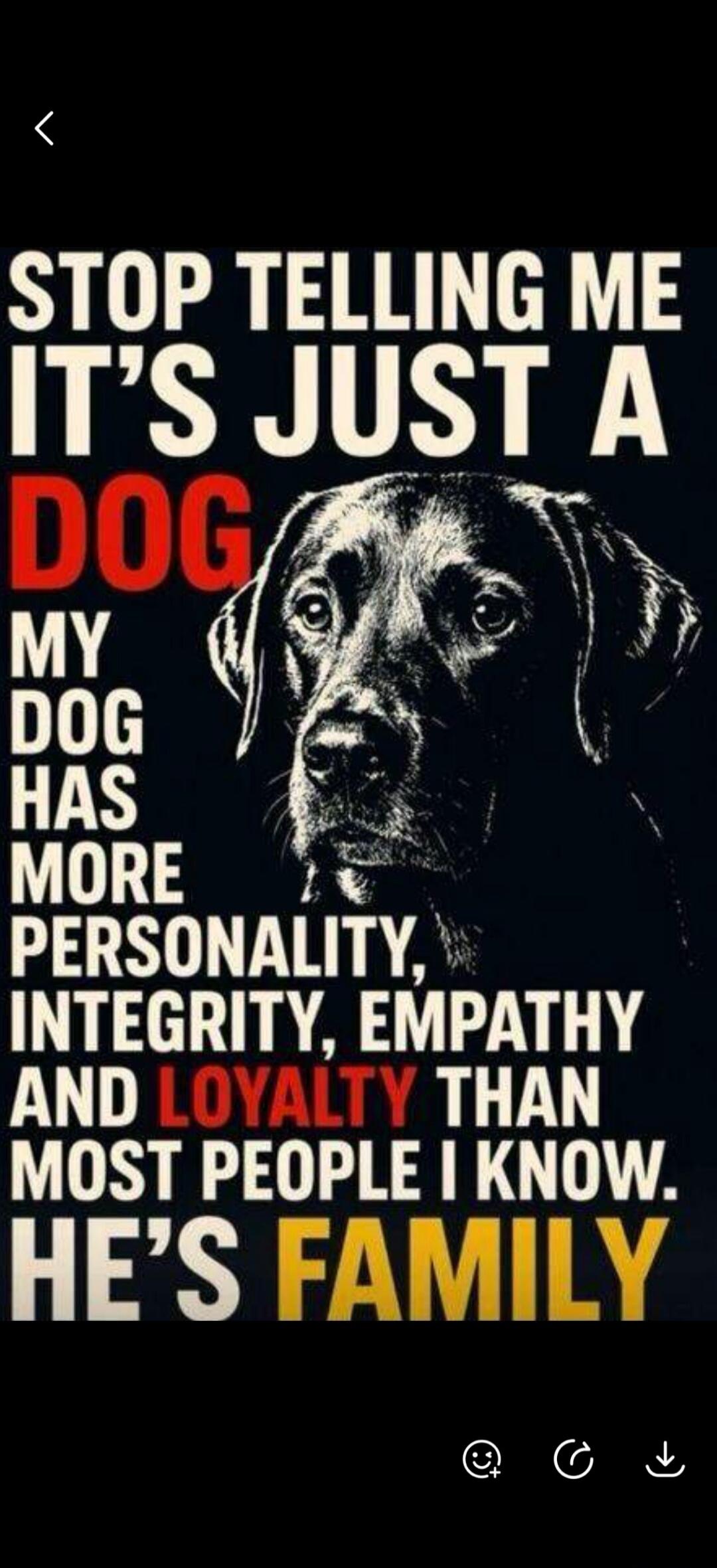 STOP TELLING ME IT'S JUST A DOG MY DOG HAS MORE PERSONALITY, INTEGRITY, EMPATHY AND LOYALTY THAN MOST PEOPLE I KNOW. HE'S FAMILY