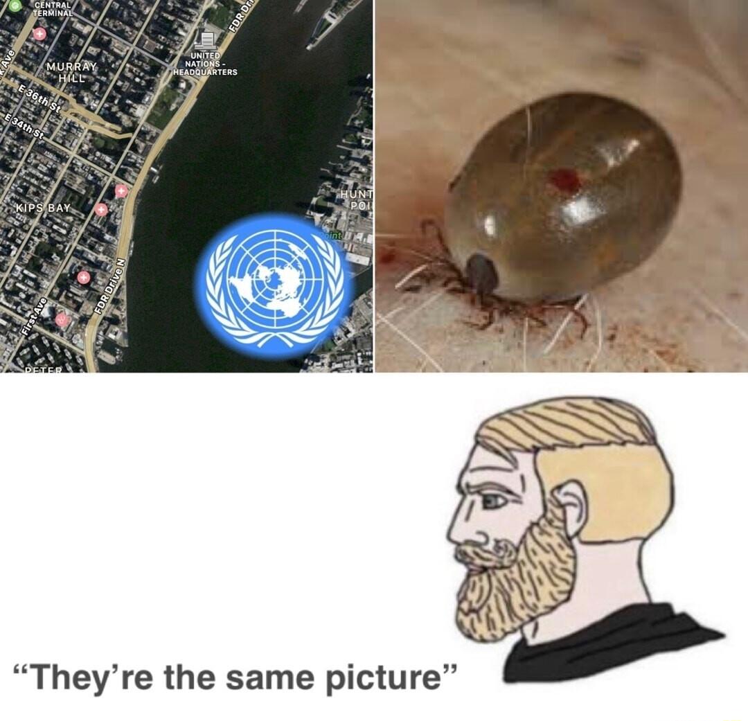 Theyre the same picture