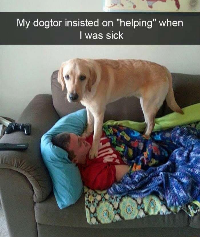 My doctor insisted on 