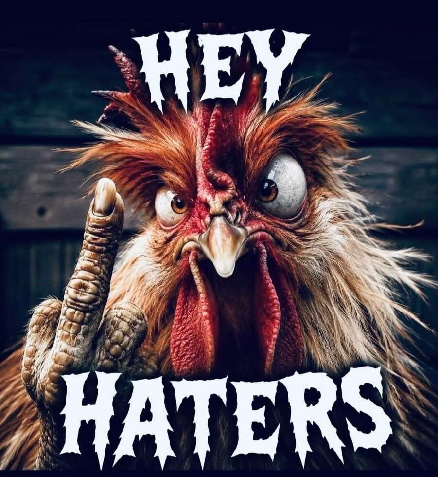 HEY HATERS