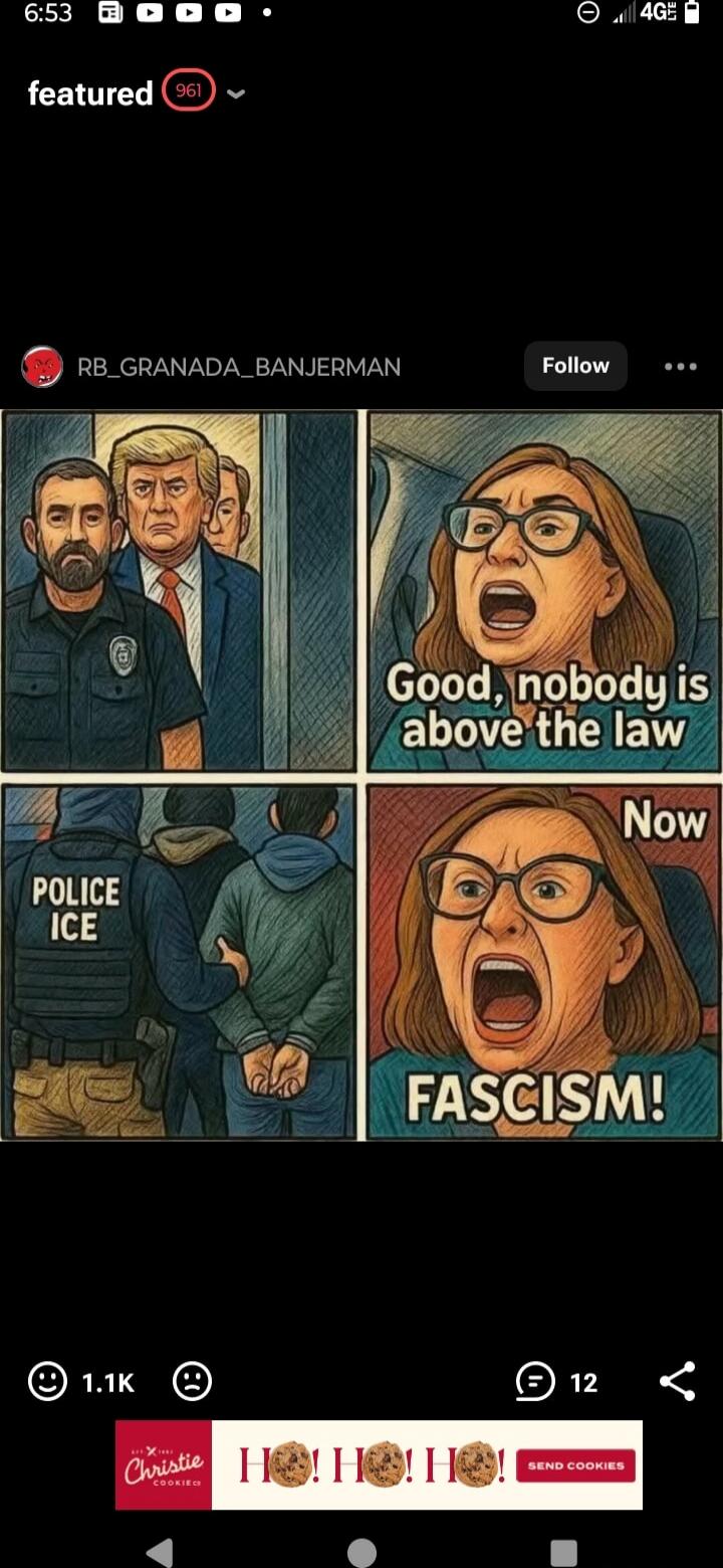 Top left: a group of people including a police officer. Top right: a woman shouting, with text: 'Good, nobody is above the law'. Bottom left: a person being detained by police, with 'POLICE ICE' on the vest. Bottom right: a woman shouting, with text: 'Now FASCISM!'.