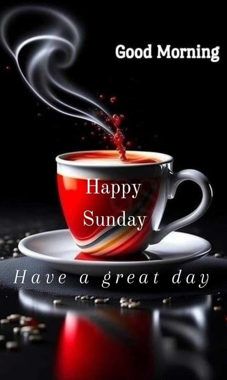 Good Morning
Happy Sunday
Have a great day