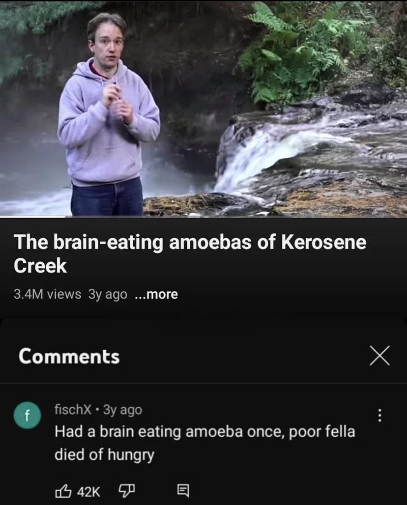 The brain eating amoebas of Kerosene Creek 34M views 3y ago more Comments fischX 3y ago Had a brain eating amoeba once poor fella died of hungry b 4K GP 5