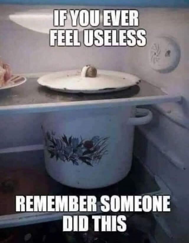 IF YOU EVER FEEL USELESS REMEMBER SOMEONE DID THIS