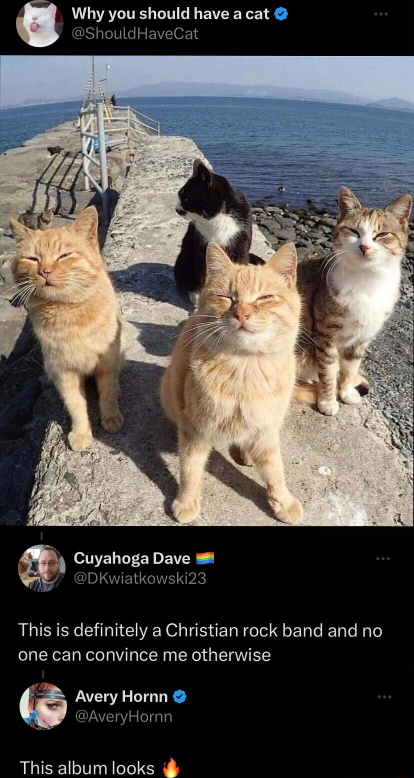 i Why you should have a cat ShouldHaveCat This is definitely a Christian rock band and no one can convince me otherwise AveryHornn W cAveryHom This album looks