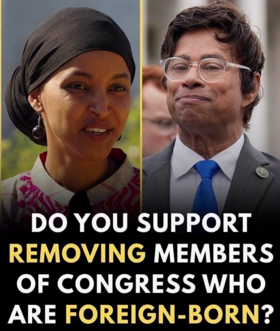 DO YOU SUPPORT REMOVING MEMBERS OF CONGRESS WHO ARE FOREIGN-BORN?