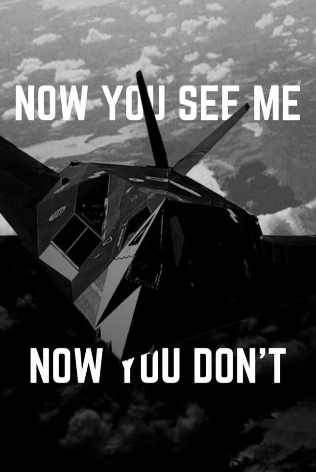 NOW YOU SEE ME NOW YOU DON'T