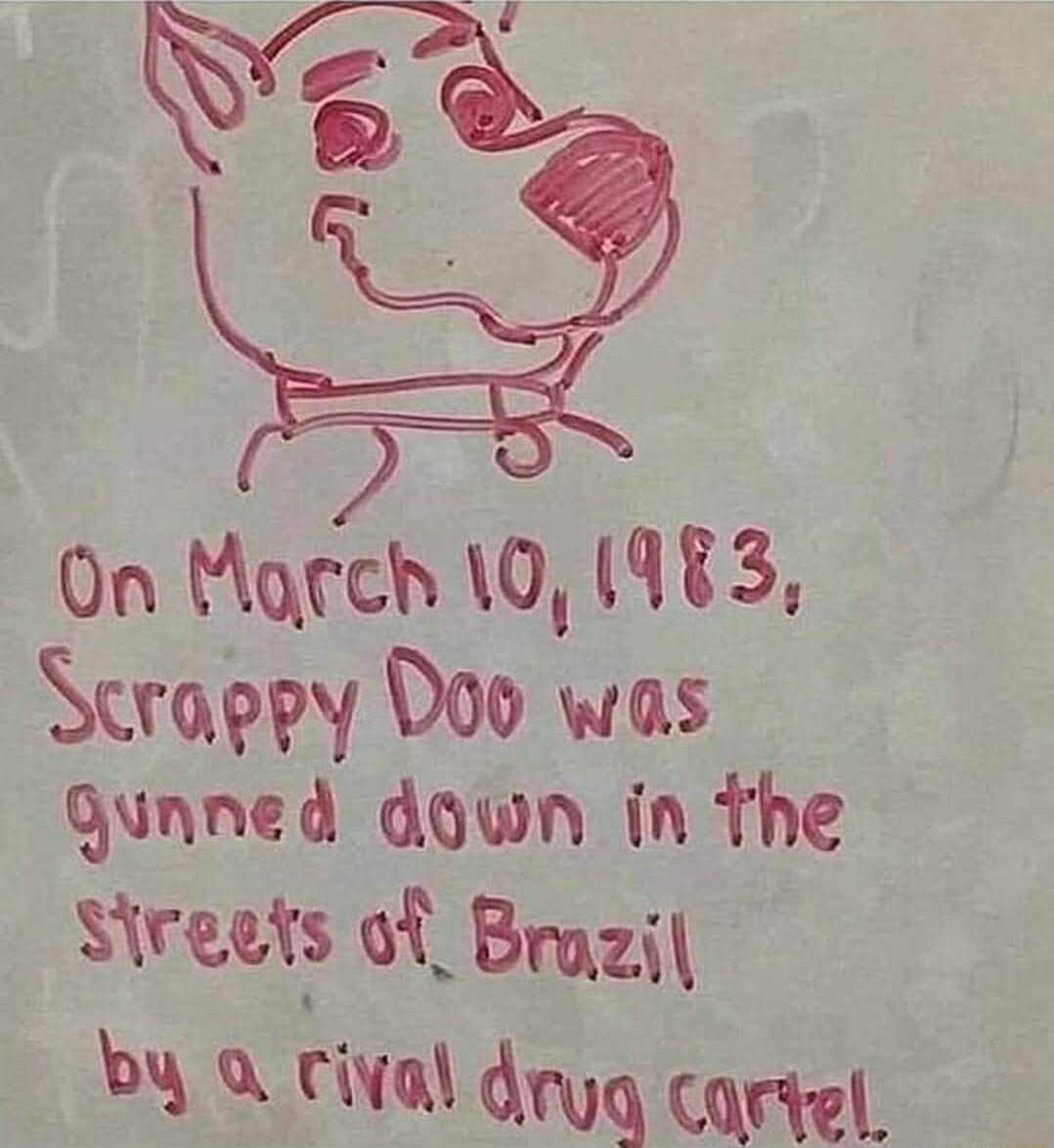 On QTCh 0 983 Scrappy Doo was gunned down in The Sutls of_ Brazil by a rival dryq cortel
