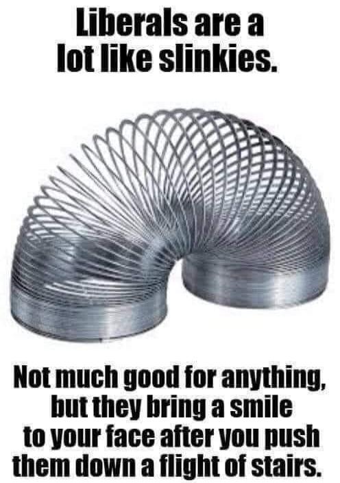 Liberals are a lot like sinkies. Not much good for anything, but they bring a smile to your face after you push them down a flight of stairs.
