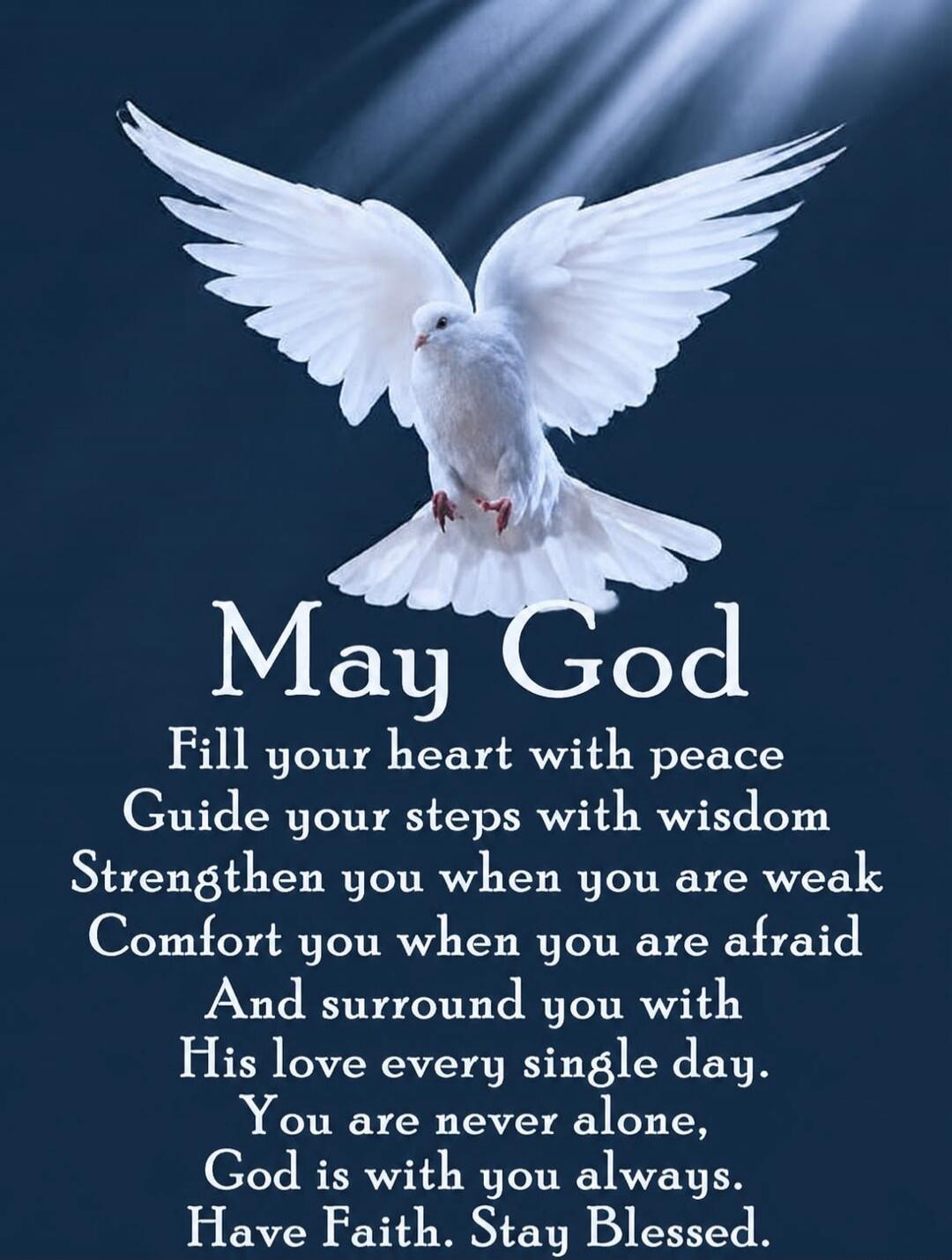 May God Fill your heart with peace Guide your steps with wisdom Strengthen you when you are weak Comfort you when you are afraid And surround you with His love every single day. You are never alone, God is with you always. Have Faith. Stay Blessed.