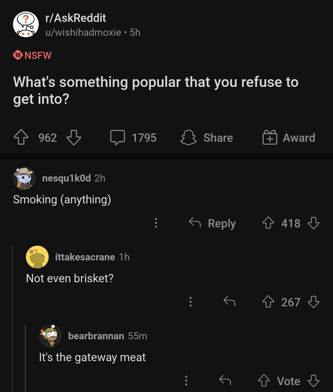 rAskReddit uwishihadmoxie Sh ONSFW Whats something popular that you refuse to get into 962 b J1795 share nesquikod 2h Smoking anything Award S Reply r 418 ittakesacrane 1h Not even brisket a P27 bearbrannan 55m Its the gateway meat 9 Vote
