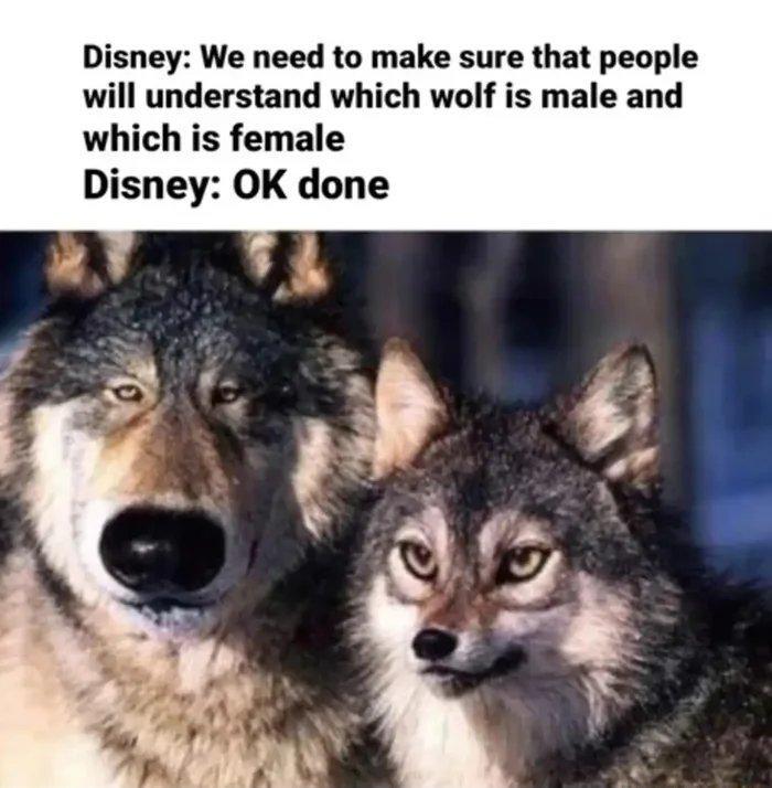 Disney We need to make sure that people will understand which wolf is male and which is female Disney OK done
