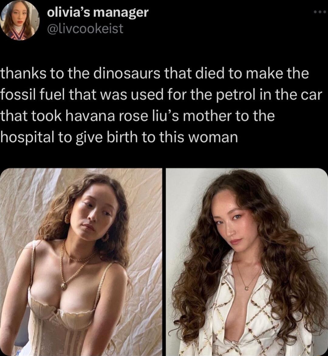 INVEET EL ETET livcookeist thanks to the dinosaurs that died to make the fossil fuel that was used for the petrol in the car that took havana rose lius mother to the hospital to give birth to this woman