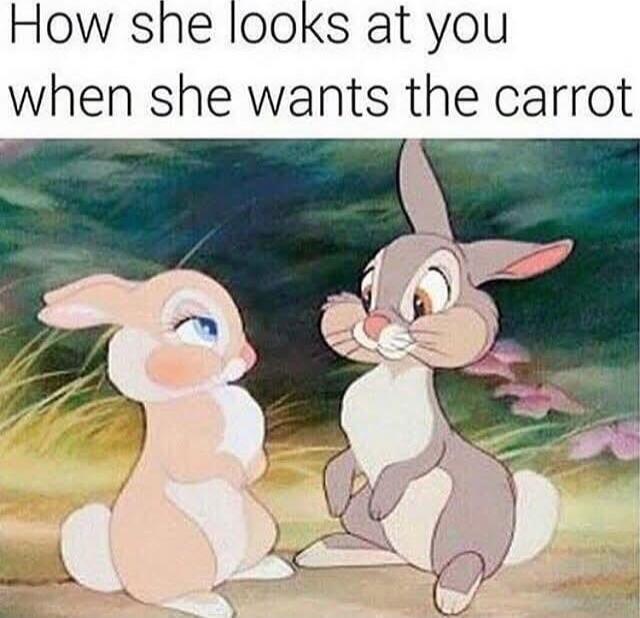How she looks at you when she wants the carrot