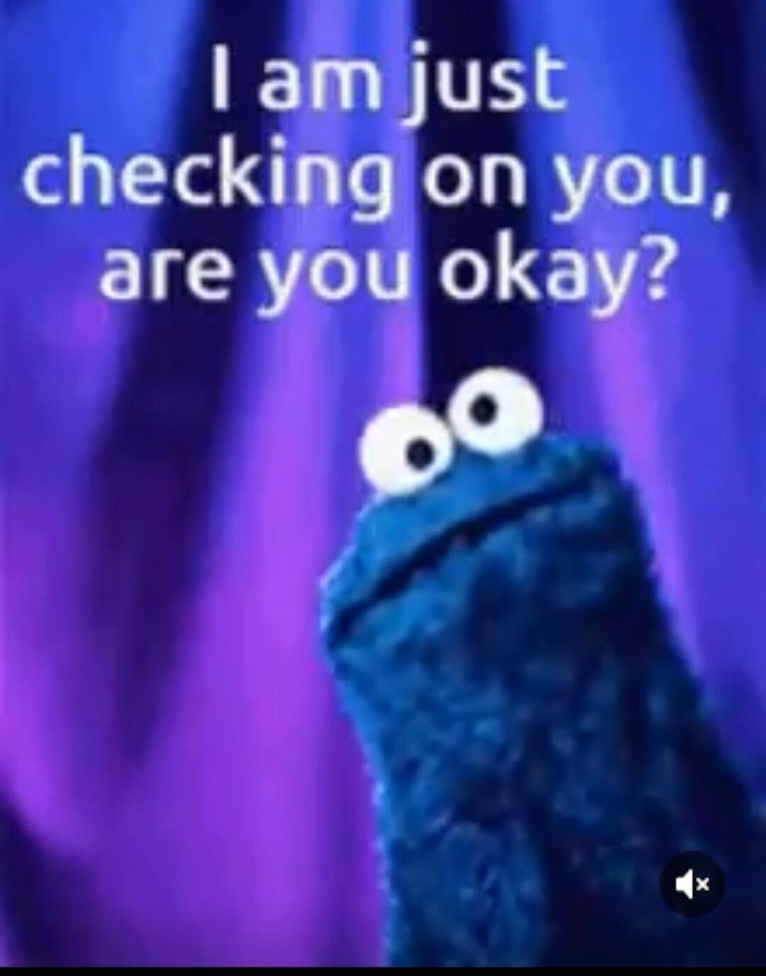 I am just checking on you, are you okay?